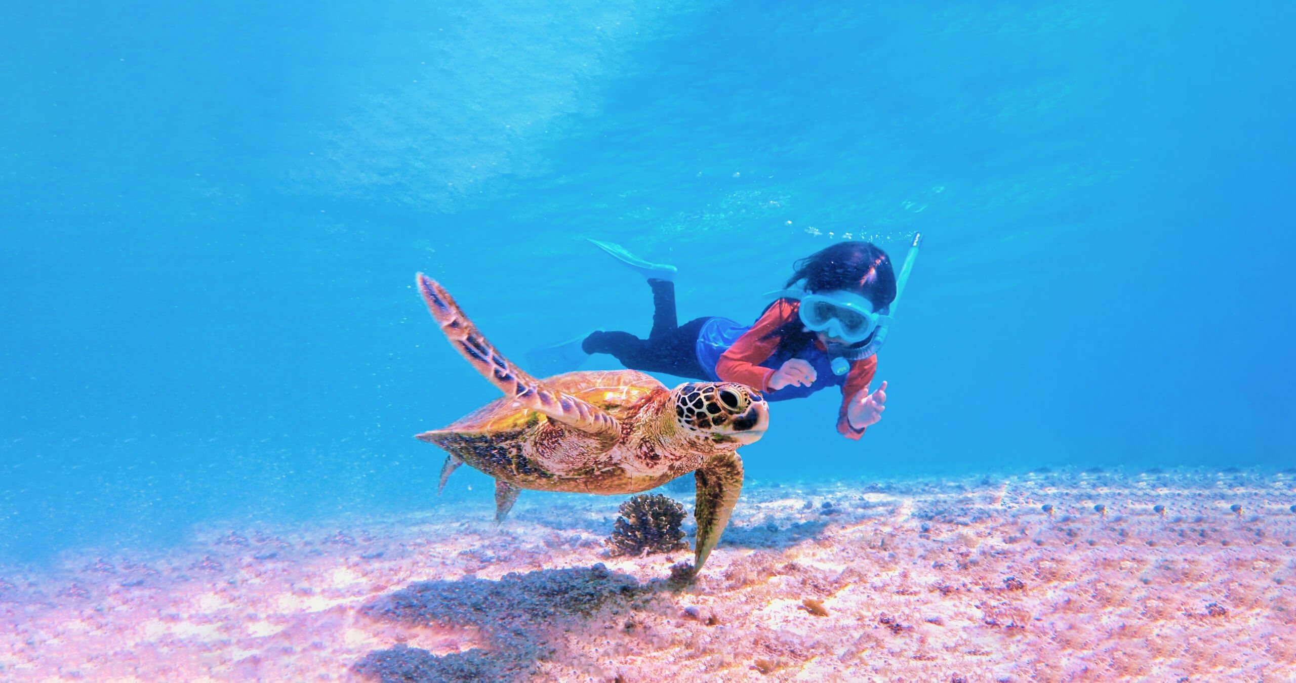 🏖️ わいわいビーチ 이미지 6